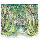 Dark Hedges Illustration by Danielle Morgan